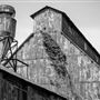Pulaski St Mill