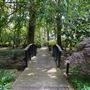 Piedmont Athens Regional Hospital - Healing Garden