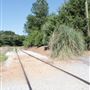 Great Walton Railroad / Train Tracks
