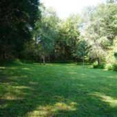Laura Carter Property