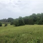 Healing Path Farm