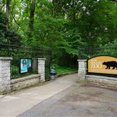 Bear Hollow Zoo at Memorial Park