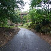 Murmur Trestle / Firefly Trail