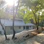 Old Fancy Rustic MCM 70s House In Forest