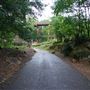 Murmur Trestle / Firefly Trail